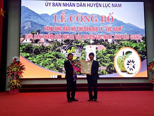 UBND huyện tổ chức Lễ công bố văn bằng bảo hộ chỉ dẫn địa lý  cho sản phẩm quả na dai Lục Nam