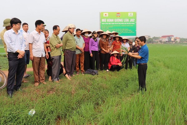 HND huyện phối hợp tổ chức lớp tập huấn kỹ thuật chăm sóc giống lúa J02