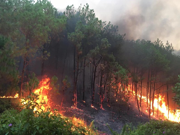 UBND tỉnh Bắc Giang vừa có Quyết định số 66/2021/QĐ-UBND ban hành quy định cấp dự báo cháy rừng...