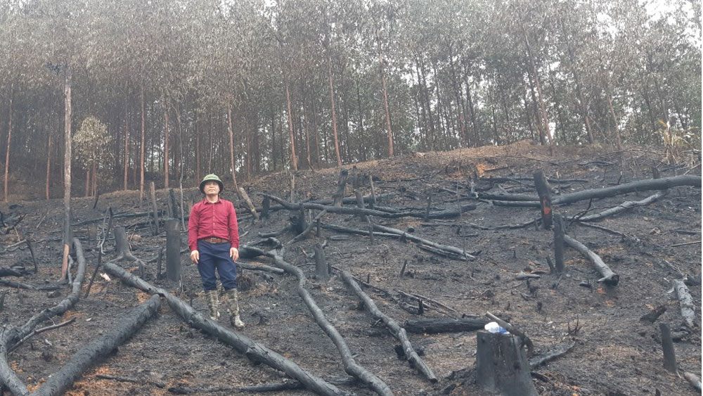 Bắc Giang: Nhiều địa phương có nguy cơ cháy rừng cao