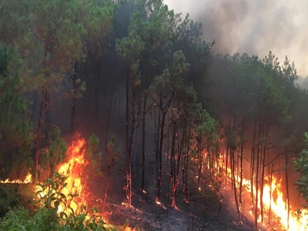 Thông báo Cấp dự báo cháy rừng ngày 18/7/2022