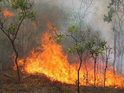 Triển khai thực hiện công tác phòng cháy, chữa cháy rừng mùa khô 2022 - 2023