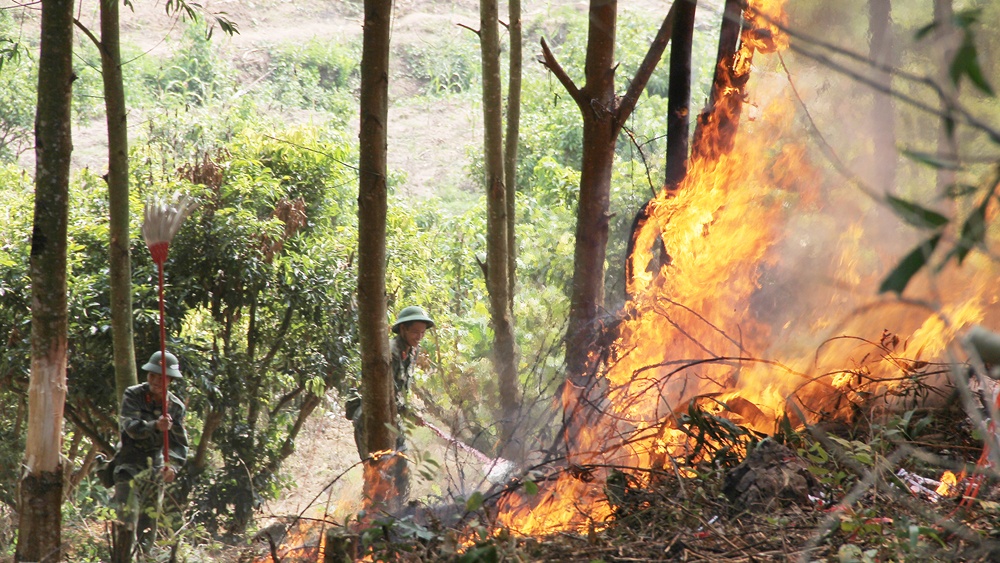 Bắc Giang triển khai nhiệm vụ phòng cháy, chữa cháy rừng mùa khô 2022 - 2023