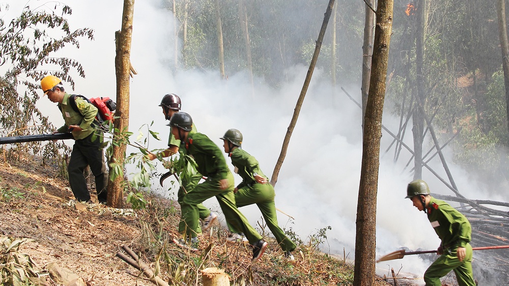 Triển khai công tác phòng cháy, chữa cháy rừng mùa khô 2022 - 2023