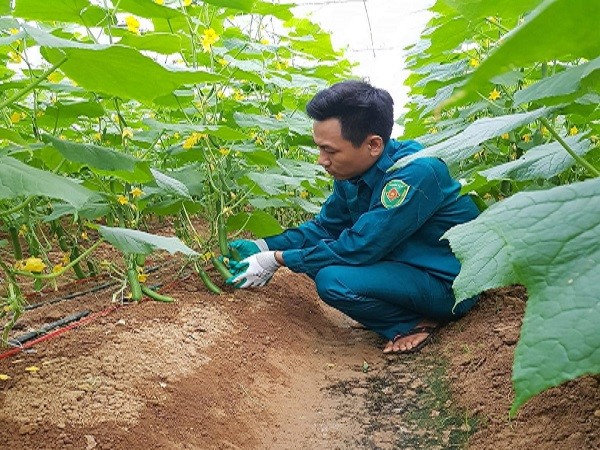 LỤC NAM: Hiệu quả từ mô hình phát triển kinh tế tại HTX nông nghiệp thanh niên Bắc Giang