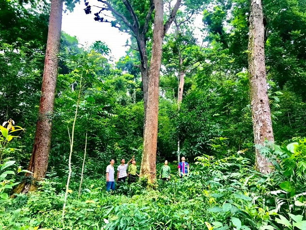 Thăm rừng thiêng làng Đá Húc ở Lục Nam, Bắc Giang