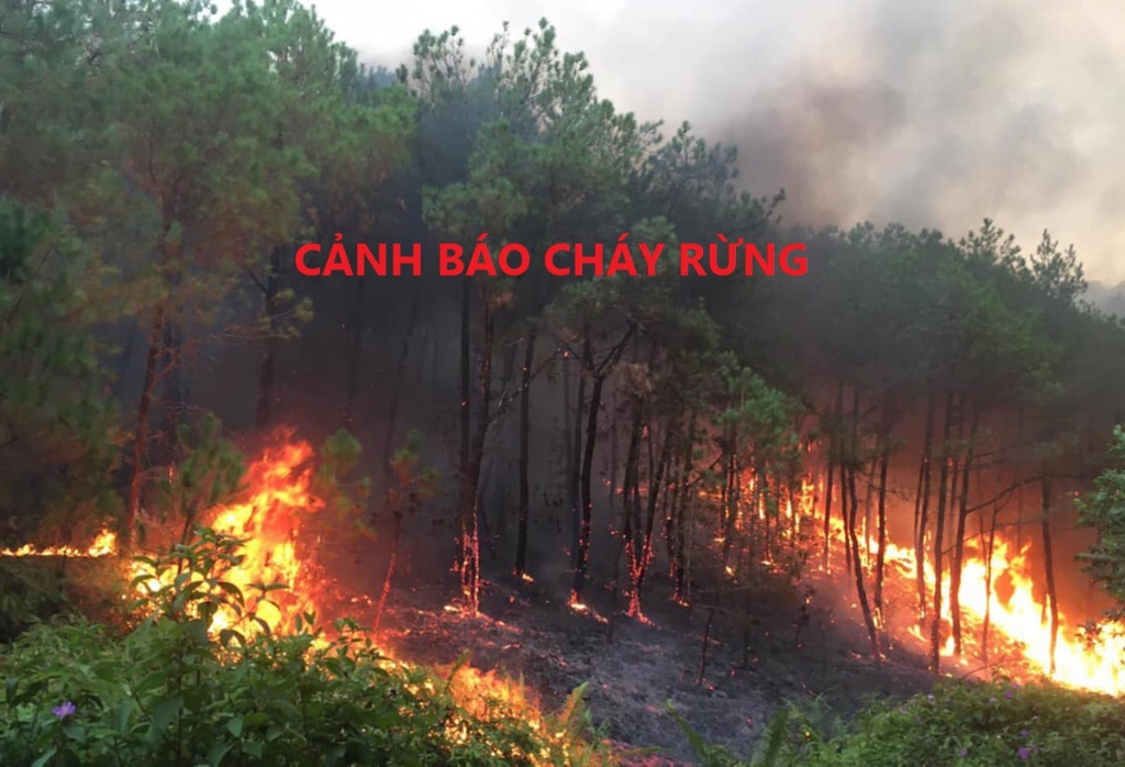 Thông tin cảnh báo cháy rừng trên địa bàn huyện Lục Nam
