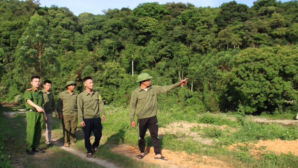 Hạt Kiểm Lâm huyện Lục Nam ban hành Kế hoạch phối hợp tuần tra, kiểm tra rừng trên địa bàn