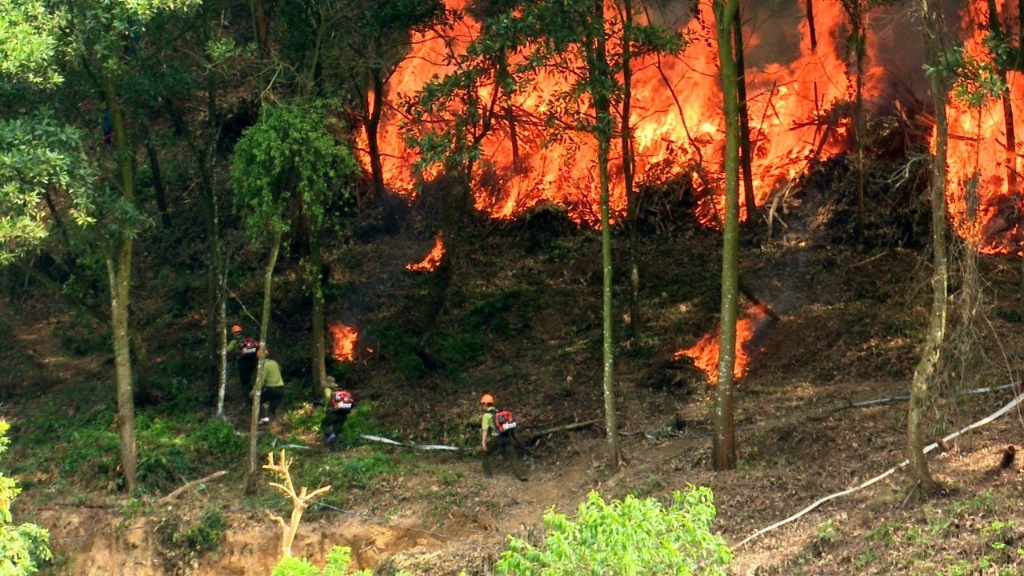 Lục Nam diễn tập phòng, chống cháy rừng tại xã Nghĩa Phương