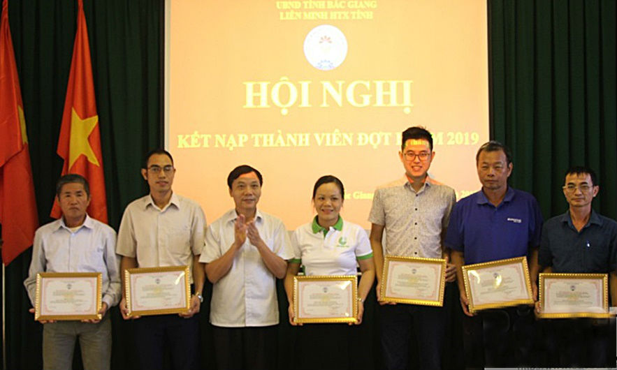 HTX Măng lục trúc được kết nạp thành viên Liên Minh HTX tỉnh Bắc Giang