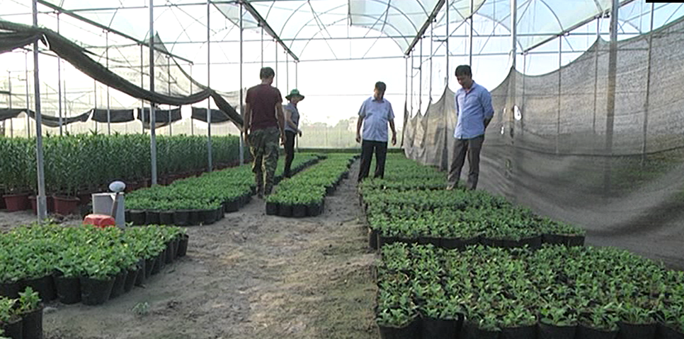 Tân Yên hỗ trợ 455 triệu đồng thực hiện 9 mô hình sản xuất nông nghiệp ứng dụng  công nghệ cao