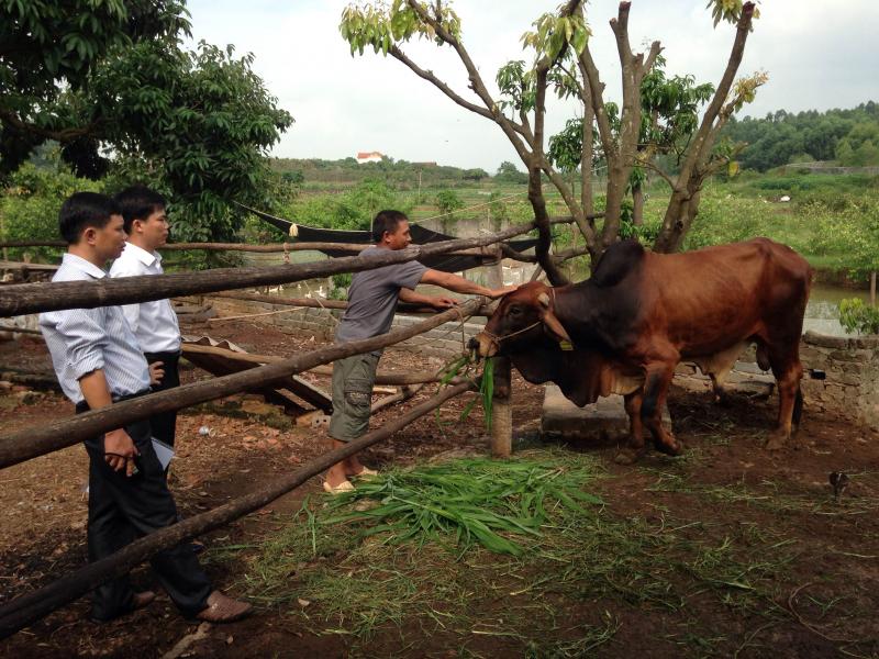 Gương nông dân Nguyễn Văn Ban mạnh dạn trong phát triển kinh tế.