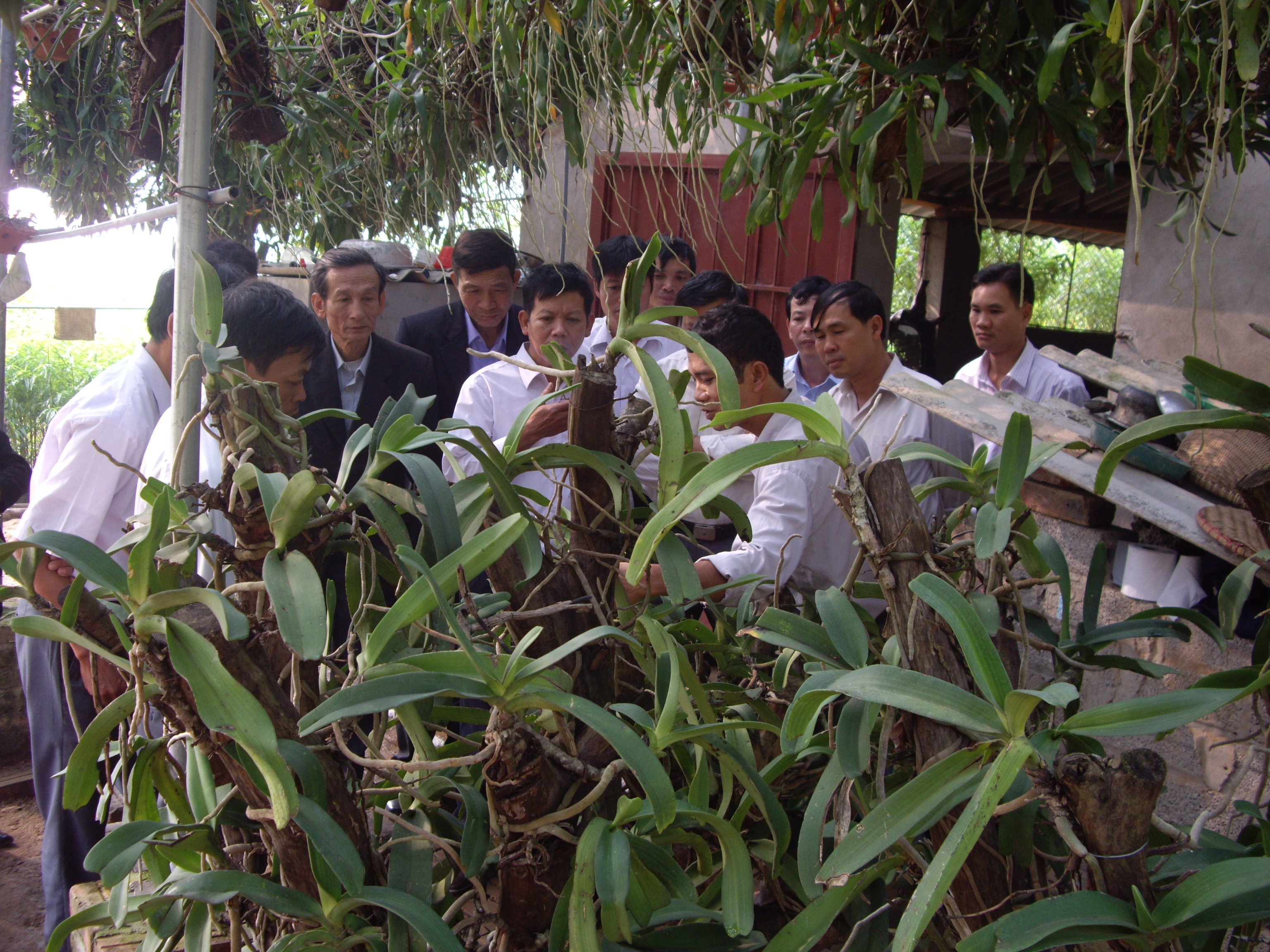 Hội làm vườn Tân Yên tổ chức thăm quan mô hình sản xuất tiêu biểu.     