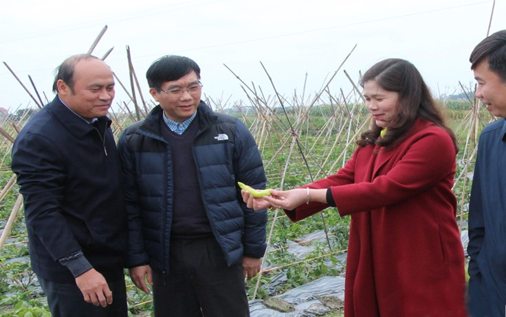  Chủ tịch UBND tỉnh Nguyễn Văn Linh thăm vùng nguyên liệu của Công ty cổ phần Chế biến thực phẩm...